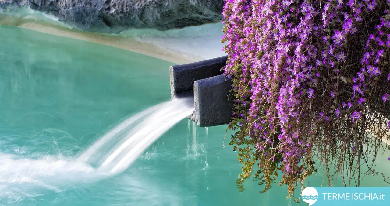 Acqua termale sgorga da rocce scolpite, circondata da fiori viola. Un'oasi di pace per le terme a Ischia in inverno.