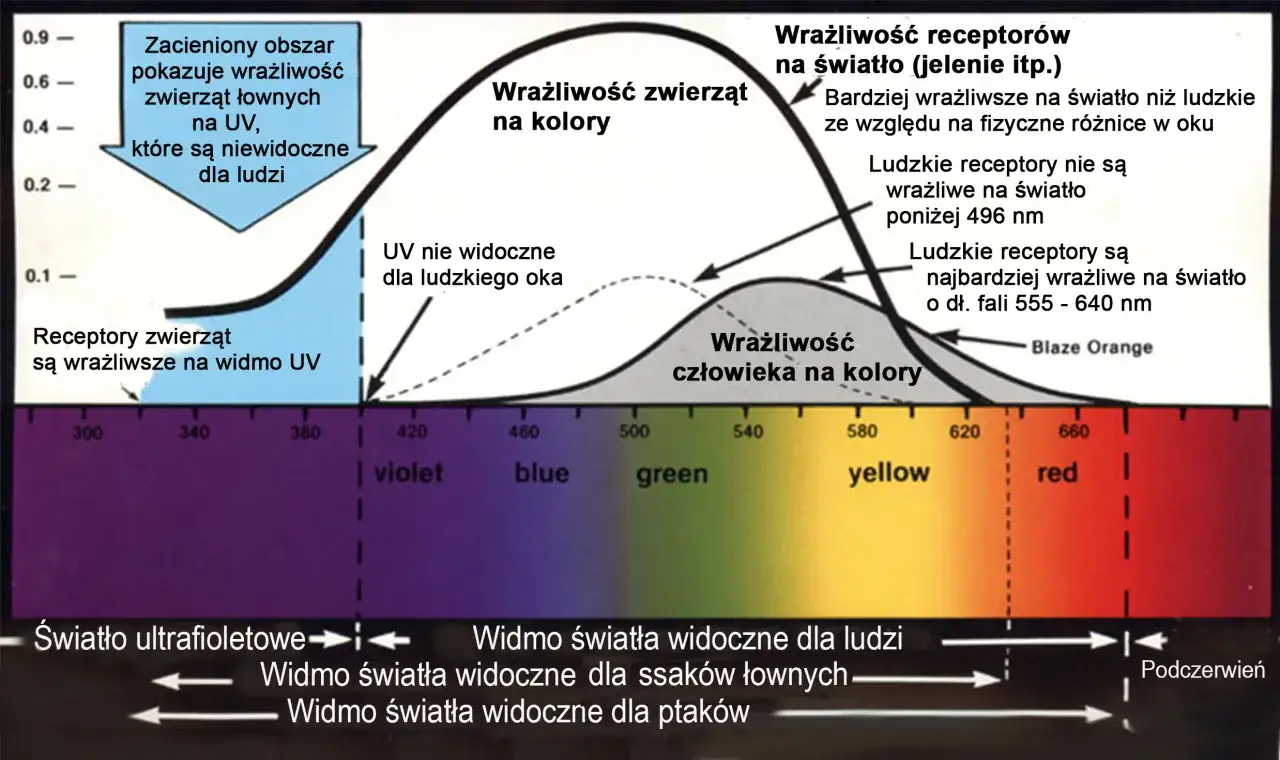 Koń i człowiek porównanie widzenia kolorów