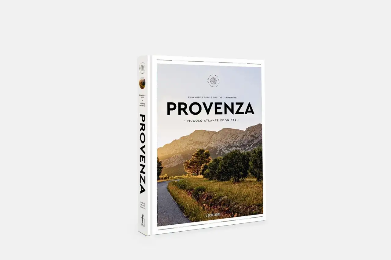 Copertina del libro