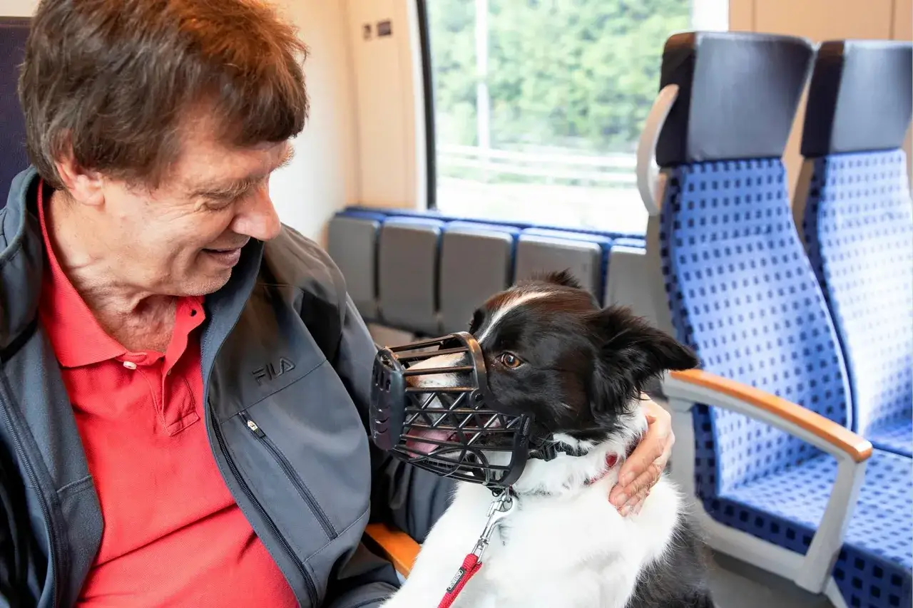 Ein Mann streichelt einen Hund mit Maulkorb im Zug. Die beiden Hunde im Bus sind auf dem Weg zu einem neuen Abenteuer.