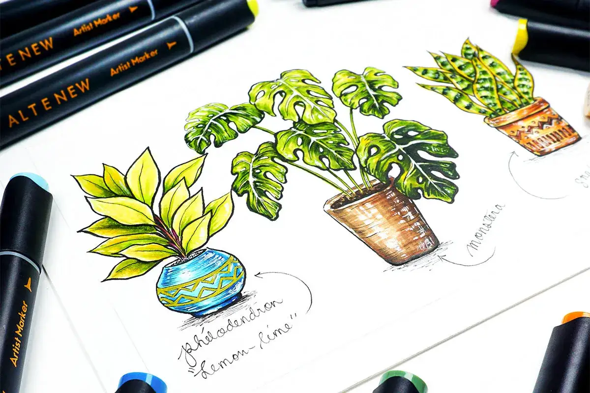 Vackra illustrationer av krukv&auml;xter, m&aring;lade med tuschpennor. En Monstera, en orm-lilja och en gulbladig v&auml;xt i bl&aring; kruka.