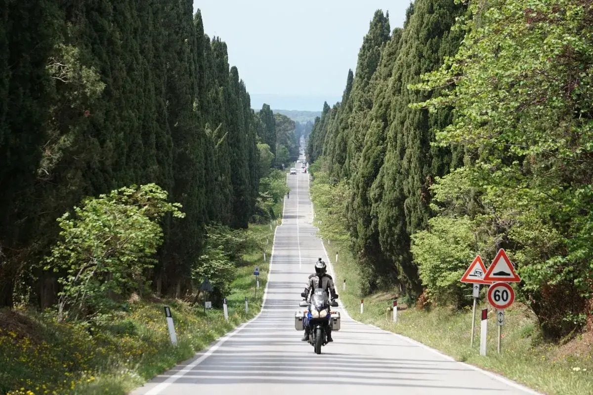 Un motociclista percorre un viale dei cipressi, immerso nel verde della campagna toscana.