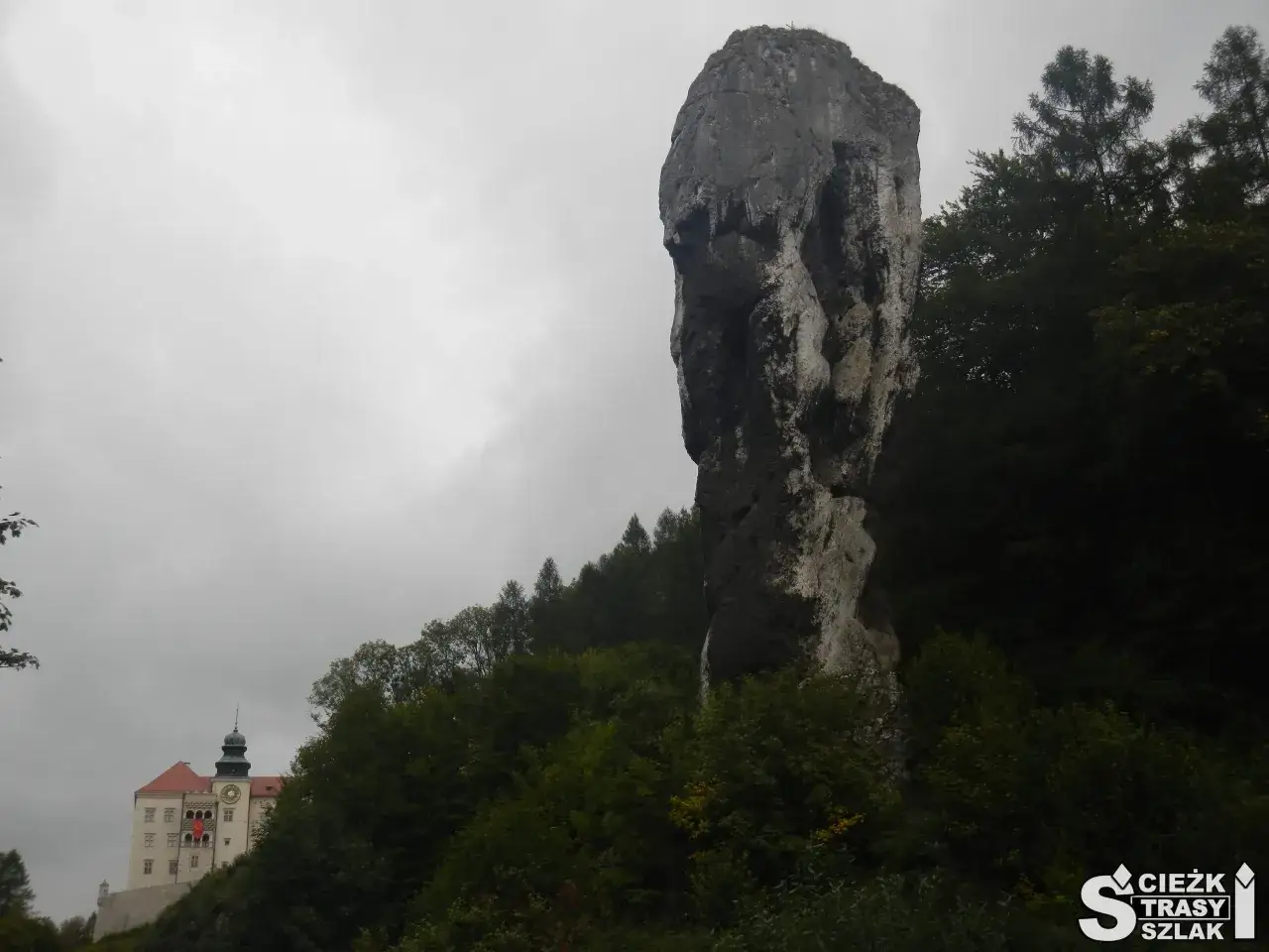 Maczuga Herkulesa na trasie szlaku, majestatyczna skała góruje nad lasem, w oddali widać zamek.