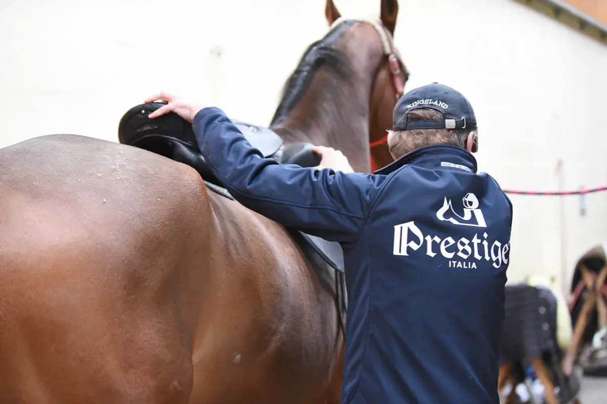 saddle fitter przy pracy
