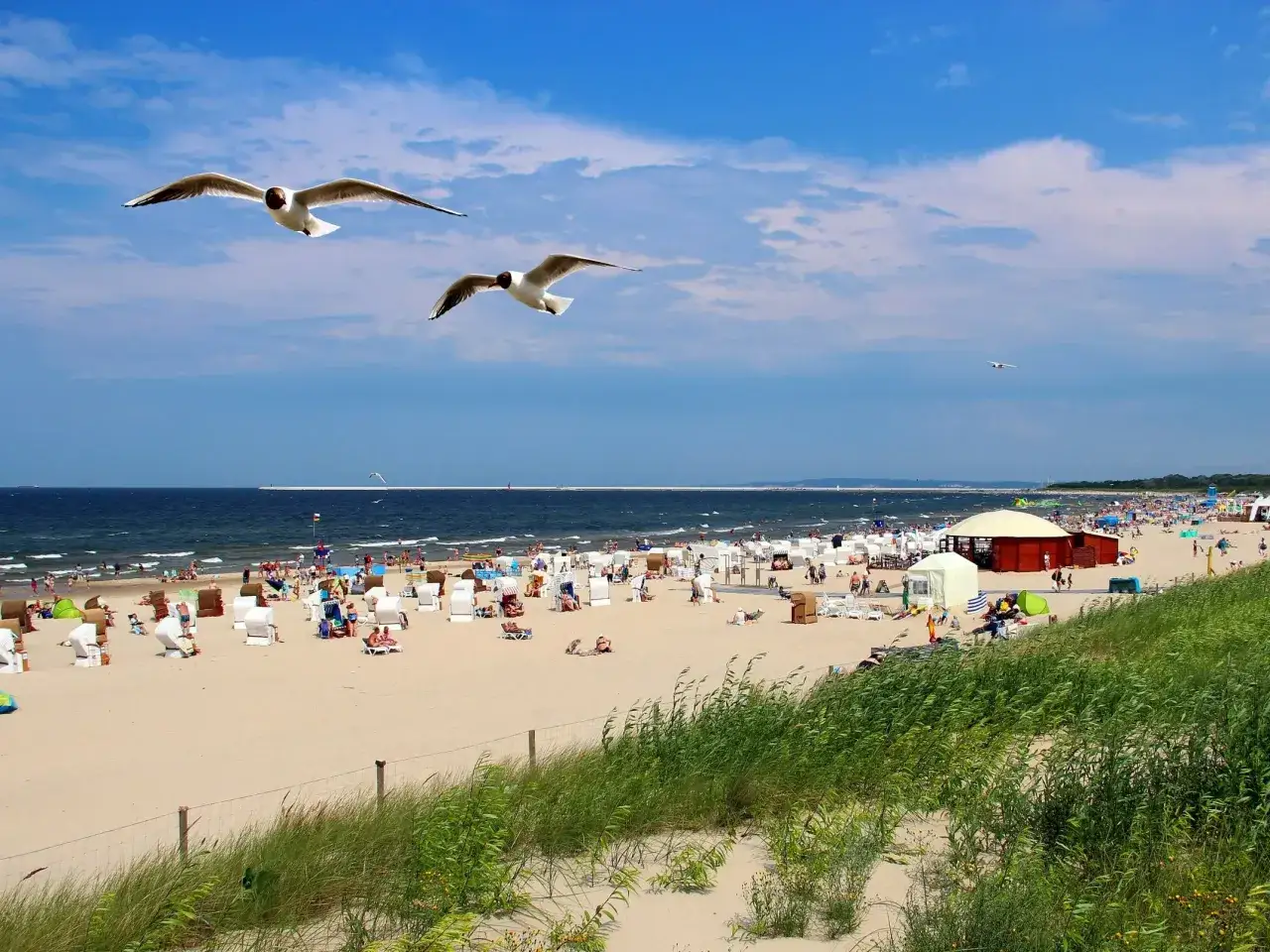 Słoneczna plaża z mnóstwem ludzi, parawanów i leżaków. Dwa mewy szybują nad Bałtykiem, gdzie panuje najcieplejsza woda w bałtyku.