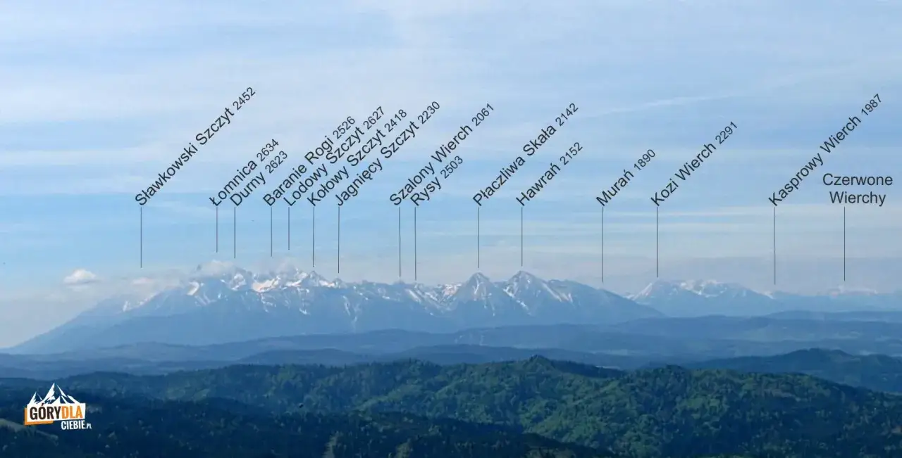 Tatry Wysokie z zaznaczonymi szczytami i ich wysokością n.p.m. Widok na pasmo g&oacute;rskie z lasami w tle.