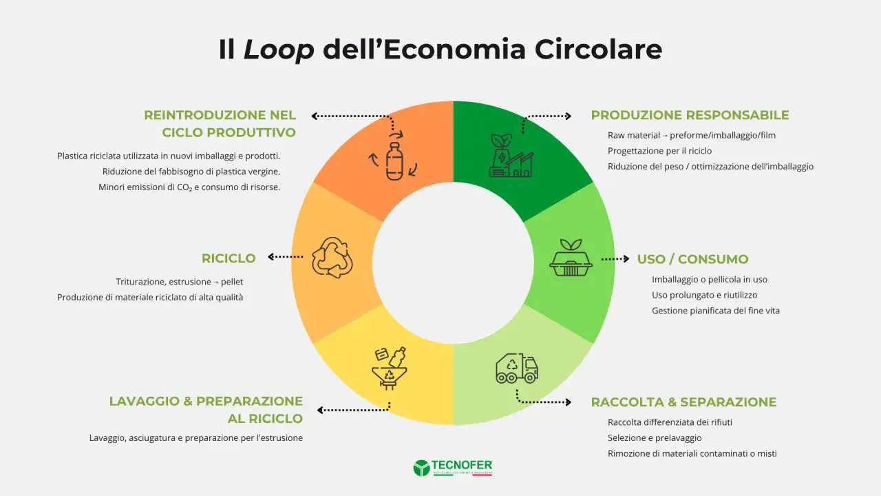Diagramma del **sistema circolare sostenibile**: produzione responsabile, uso/consumo, raccolta/separazione, lavaggio/preparazione, riciclo e reintroduzione nel ciclo produttivo.