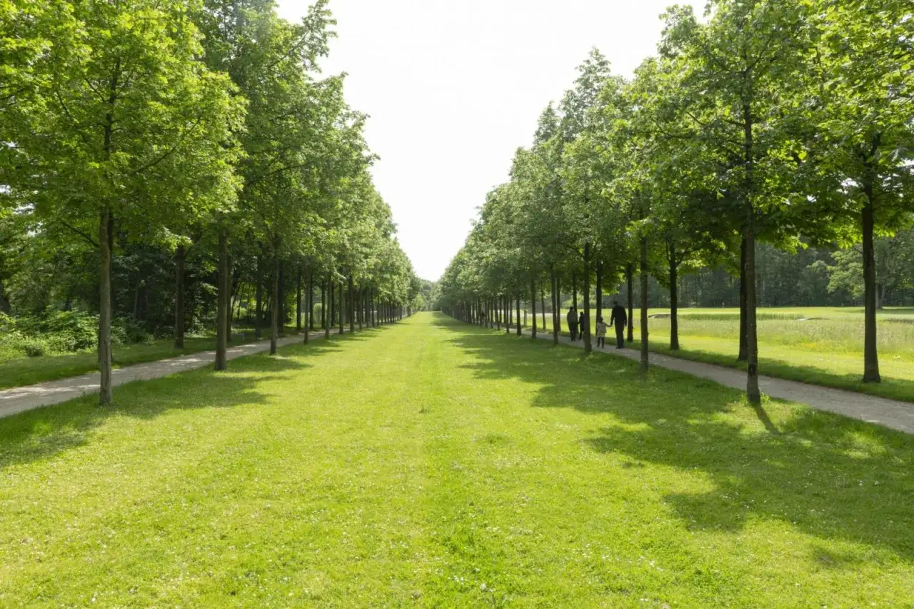 Allee mit B&auml;umen und Rasenfl&auml;chen, ein Weg f&uuml;hrt in die Ferne. Eine Familie spaziert im Bagno Steinfurt.