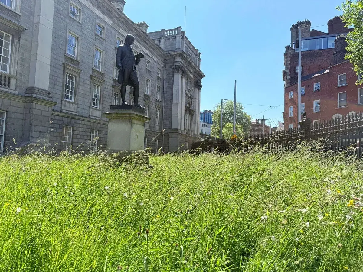 A statue stands in front of a grand building, surrounded by lush green grass. This scene is perfect for a Dublin Ireland itinerary, offering a glimpse of history and nature.