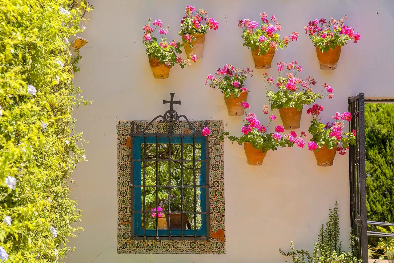 Maceta tras maceta, los geranios rosados adornan la pared blanca junto a una ventana enrejada. Enredaderas verdes cubren el lateral.