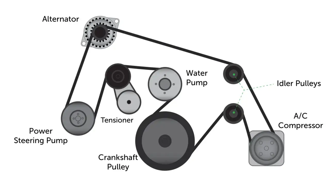 Diagrama de correas de un coche: alternador, bomba de direcci&oacute;n, tensor, polea del cig&uuml;e&ntilde;al, bomba de agua, poleas tensoras y compresor de A/C.