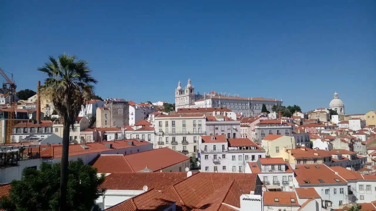 Słoneczna Portugalia, pogoda w lutym zachwyca. Widok na Lizbonę z palmą i czerwonymi dachami.