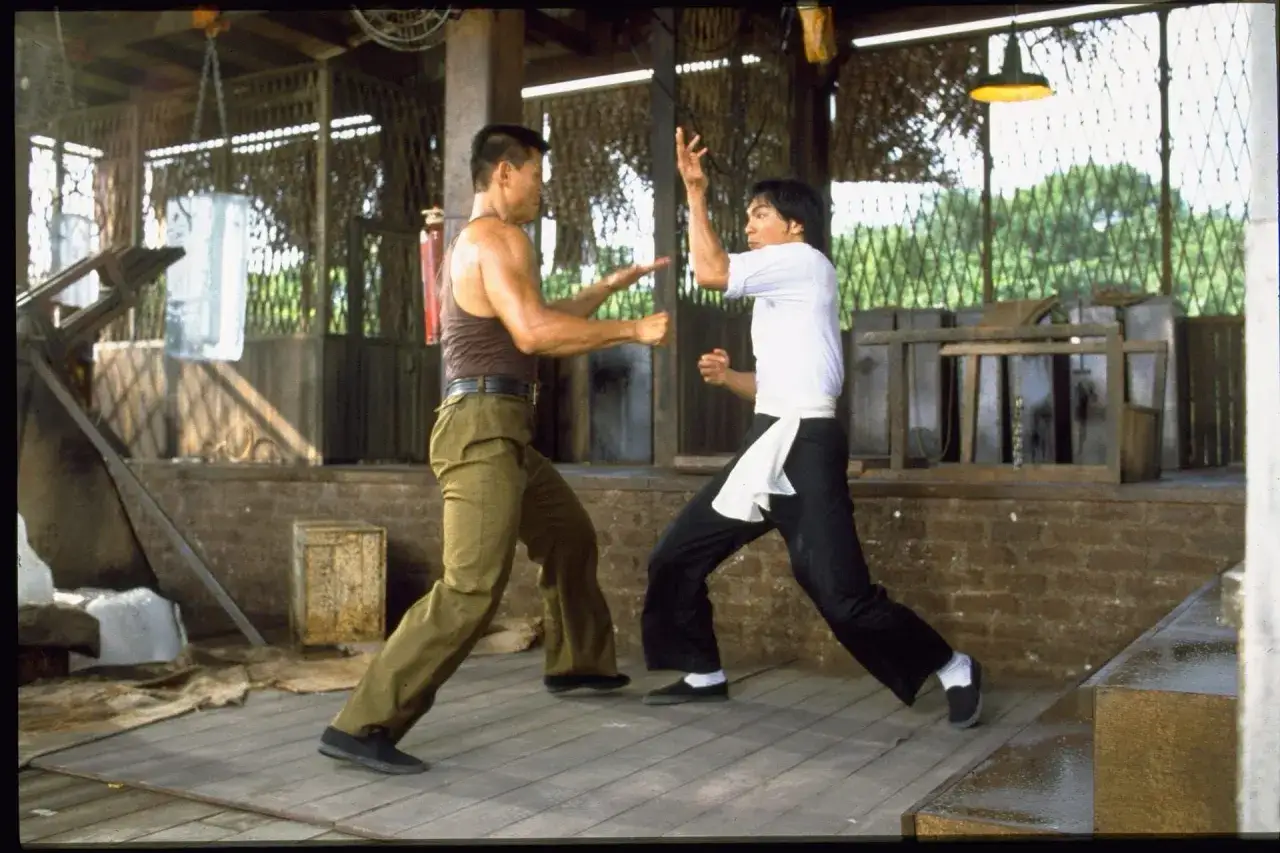 Bruce Lee w akcji