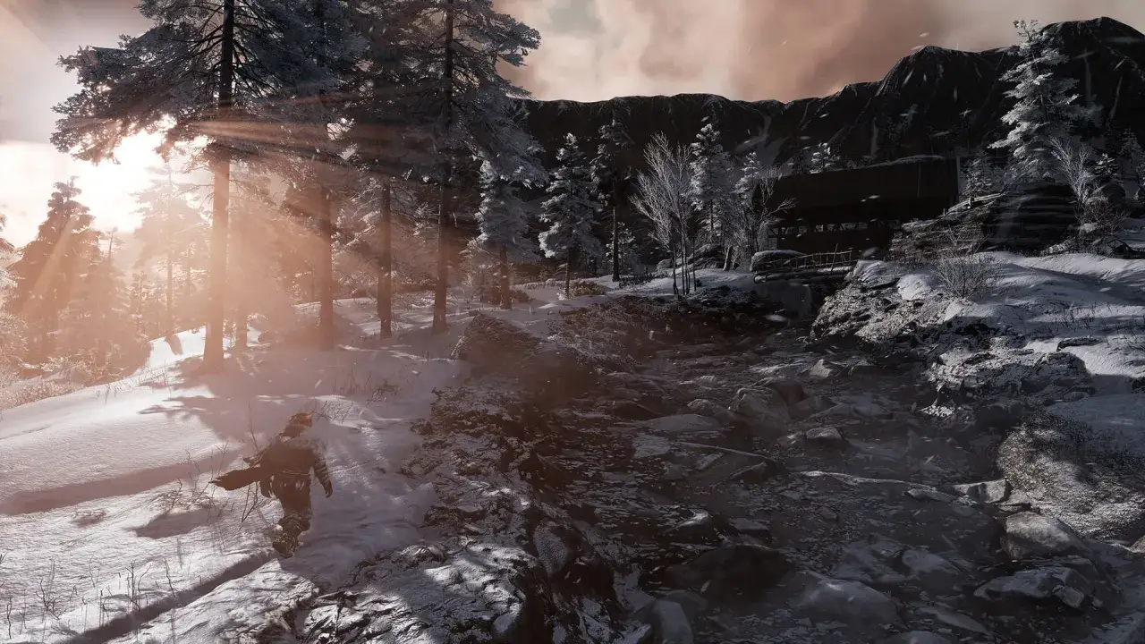 Samotny wędrowiec w zimowym lesie, promienie słońca przebijają się przez drzewa, tworząc atmosferę fade to silence.