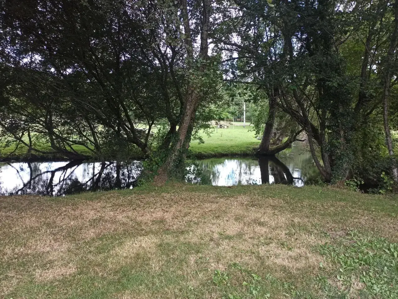 Un tranquilo corgo o playa fluvial rodeado de árboles frondosos. El agua refleja el cielo y las ramas, creando un ambiente sereno.