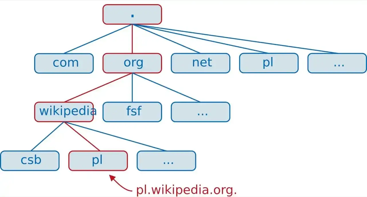 rejestracja domeny internetowej proces krok po kroku