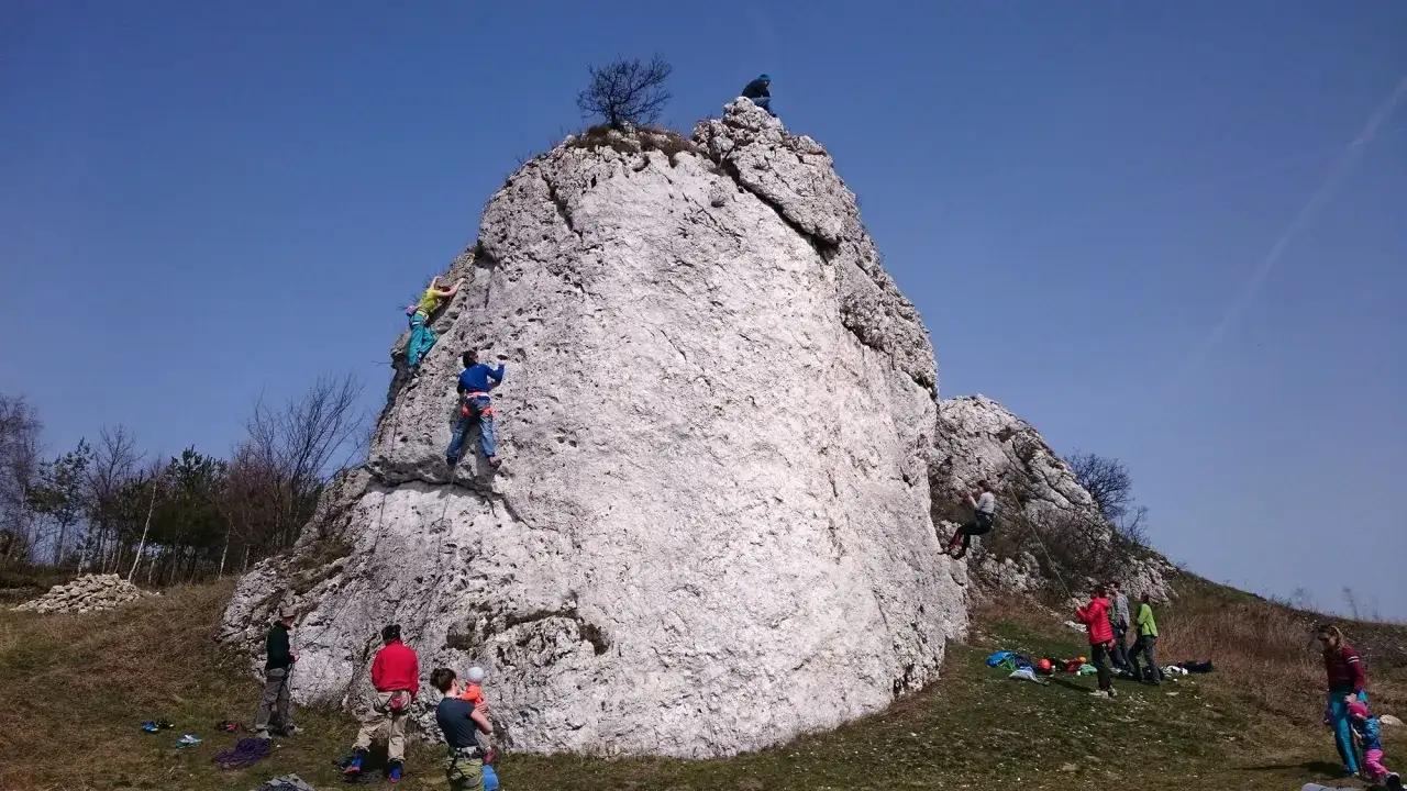 Wspinacze na wapiennych skałach w Jurze Krakowsko-Częstochowskiej.