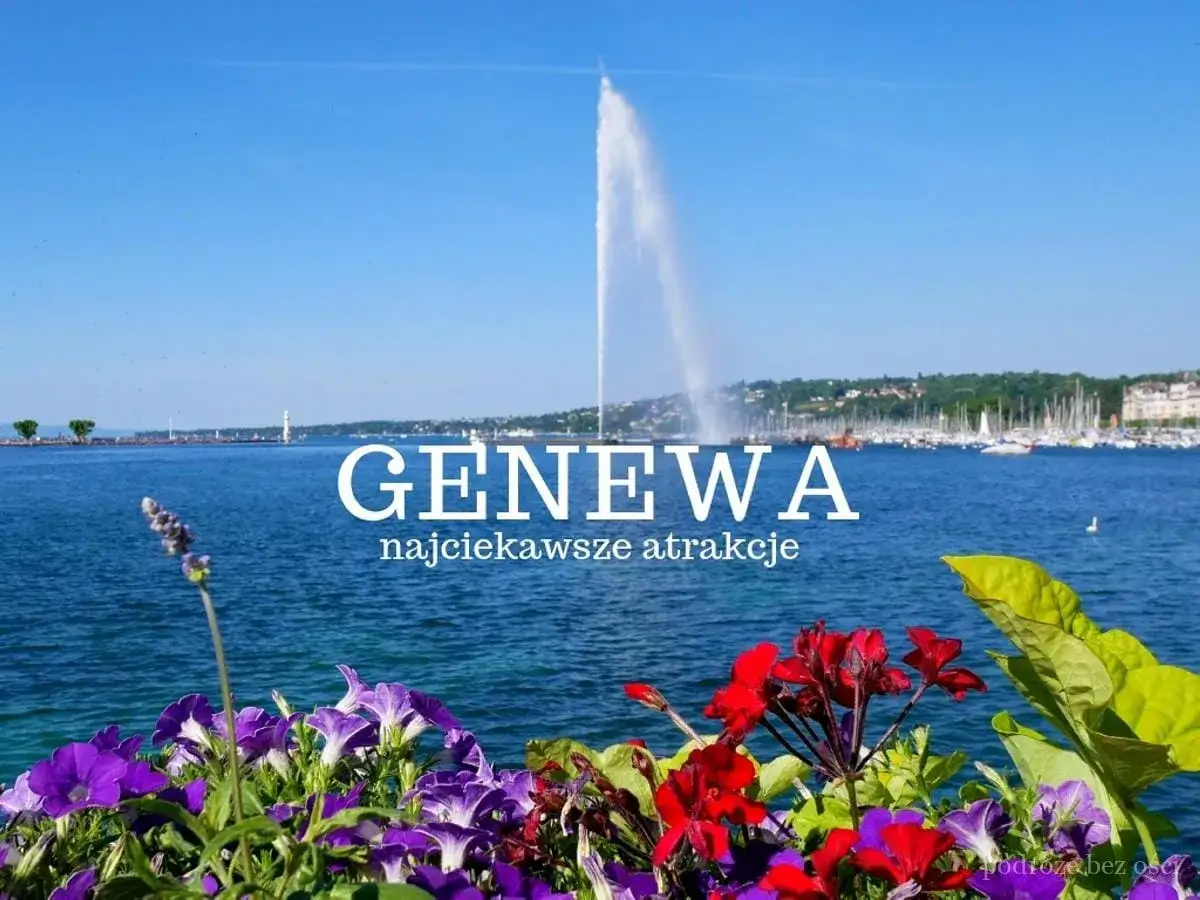 Kwiaty na pierwszym planie, w tle Jezioro Genewskie z fontanną Jet d'Eau. Genewa, gdzie jest? To miasto pełne atrakcji.