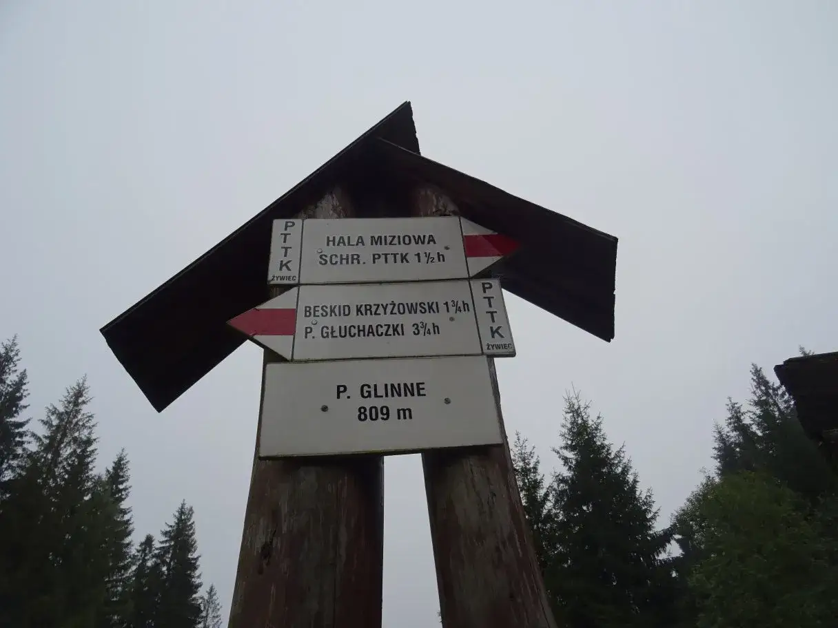 Drewniany drogowskaz szlaku turystycznego na Pilsko. Wskazuje drogę do Hali Miziowej, Beskidu Krzyżowskiego i P. Glinne.