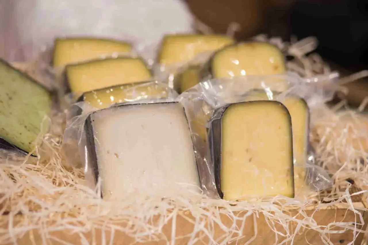 Varietà di formaggi sottovuoto, alcuni con crosta scura, altri chiari e uno verdognolo, adagiati su paglia in un cesto.