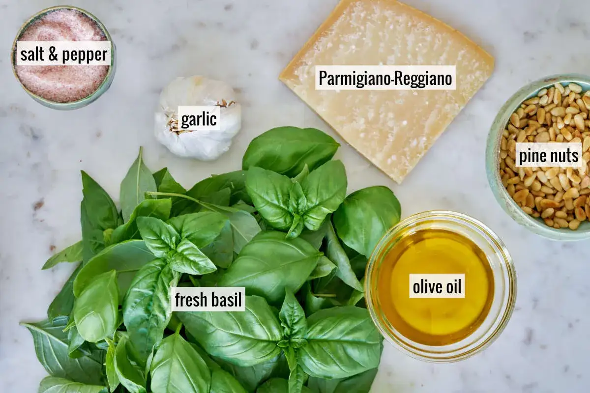 F&auml;rska ingredienser f&ouml;r ett klassiskt pesto recept: basilika, pinjen&ouml;tter, vitl&ouml;k, parmesan, olivolja, salt och peppar.