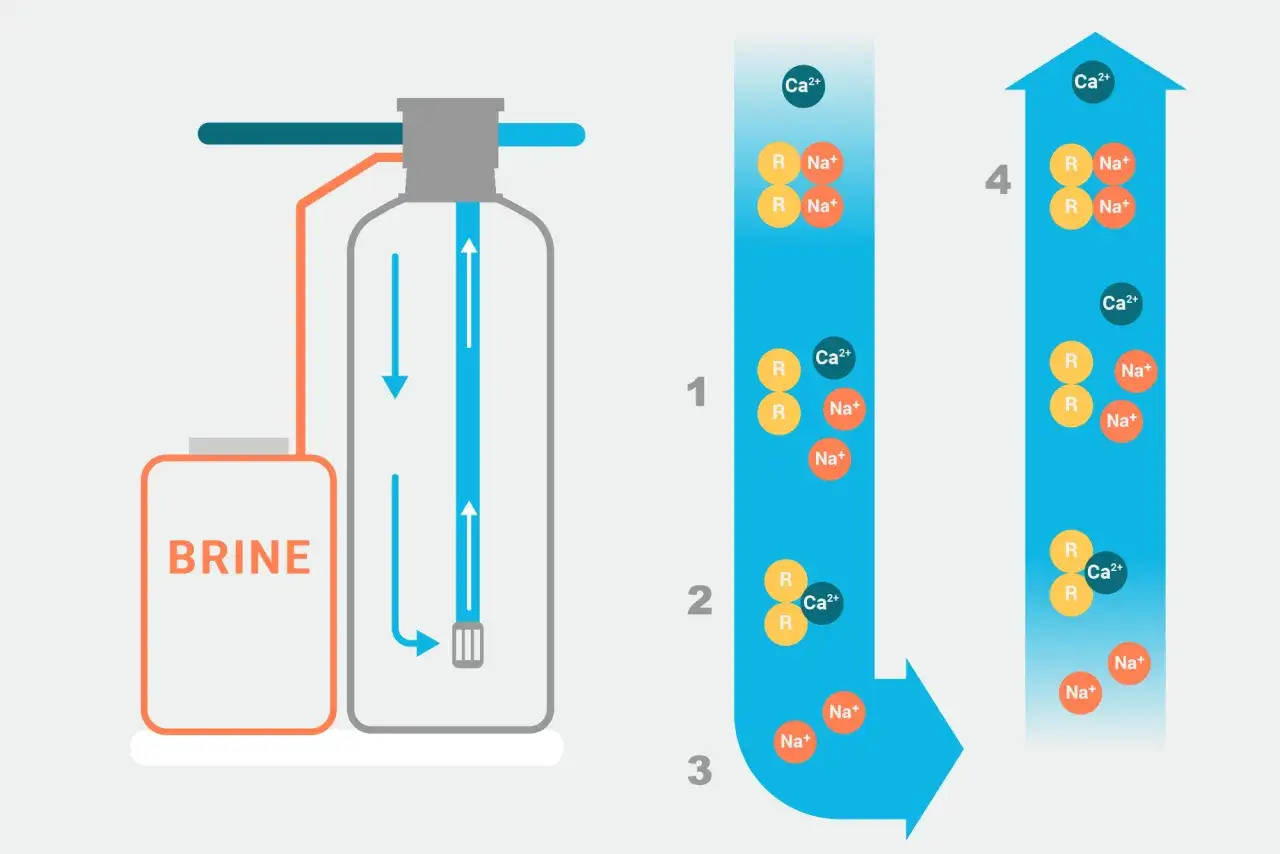 Schéma d'un adoucisseur d'eau montrant le processus d'échange d'ions pour obtenir de l'eau adoucie. Le réservoir de saumure alimente le système.