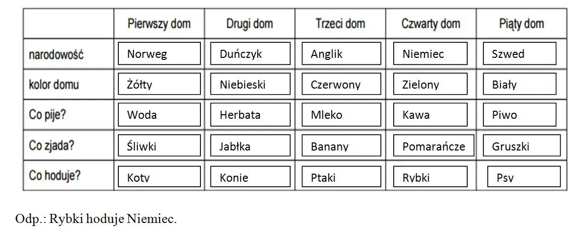 rozwiązana zagadka Einsteina tabela