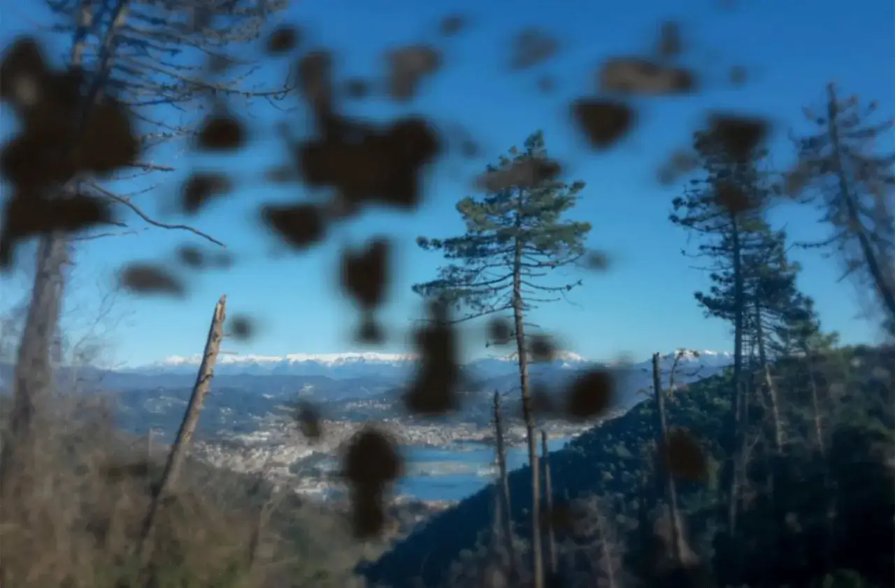 Vista di un paesaggio con alberi e montagne innevate, oscurata da un'improvvisa macchia nera nell'occhio.