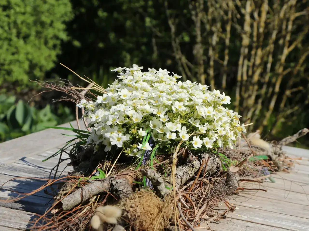 Ein Strau&szlig; wei&szlig;er Bl&uuml;ten, wahrscheinlich Sandkraut, liegt auf einem Holztisch. Der nat&uuml;rliche Standort des Sandkrauts ist oft sonnig und trocken.