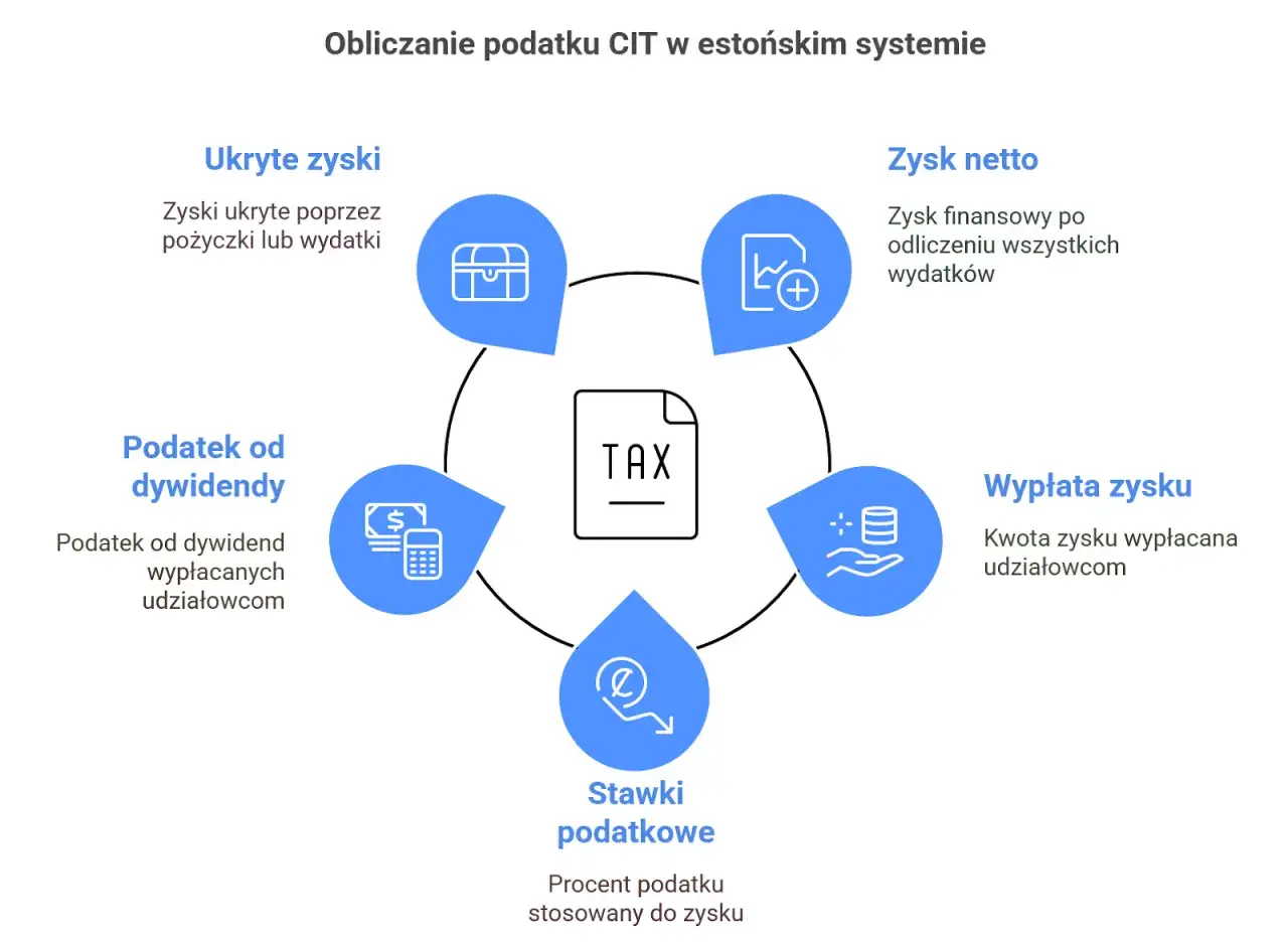 Schemat estońskiego CIT: ukryte zyski, zysk netto, wypłata zysku, stawki podatkowe, podatek od dywidendy.
