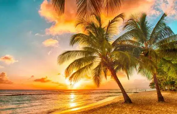 Egzotyczne plaże słońce palmy