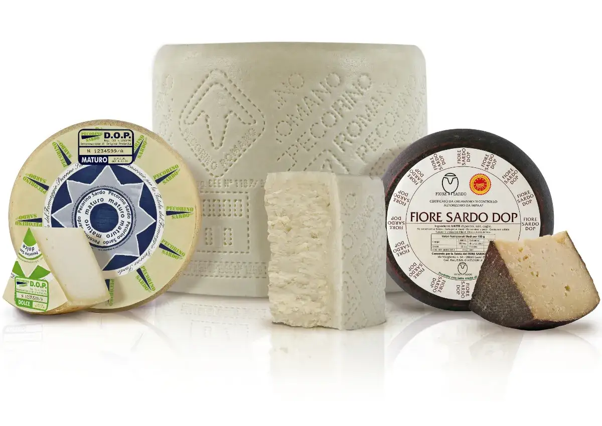 Vari tipi di pecorino, tra cui Pecorino Romano, Pecorino Sardo Maturo e Dolce, e Fiore Sardo DOP, presentati in un'esposizione che celebra i sapori autentici.