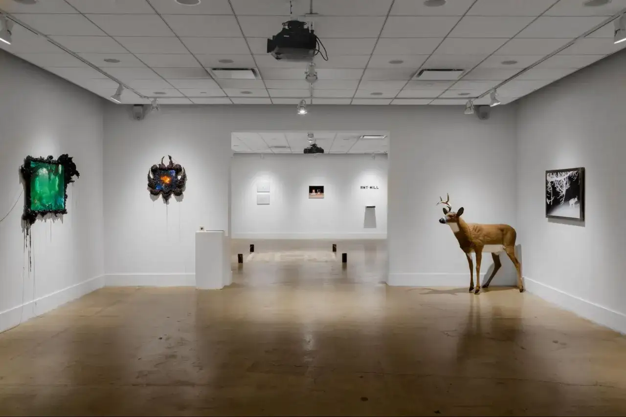 A taxidermied deer stands in a gallery at the capital photography center, near abstract art and a black and white nature photograph.