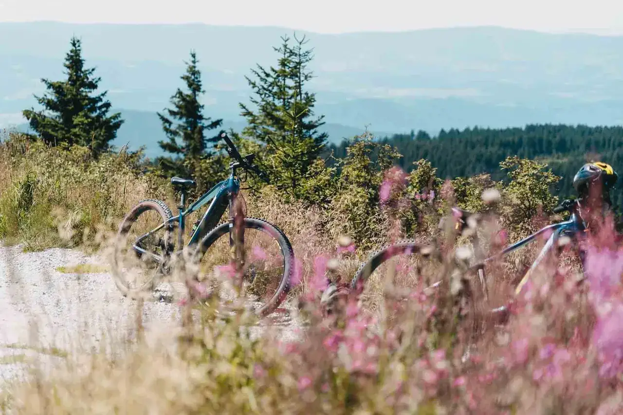 Zwei E-Bikes stehen auf einem Feldweg im Bayerischen Wald, bereit für spannende E-bike Touren.