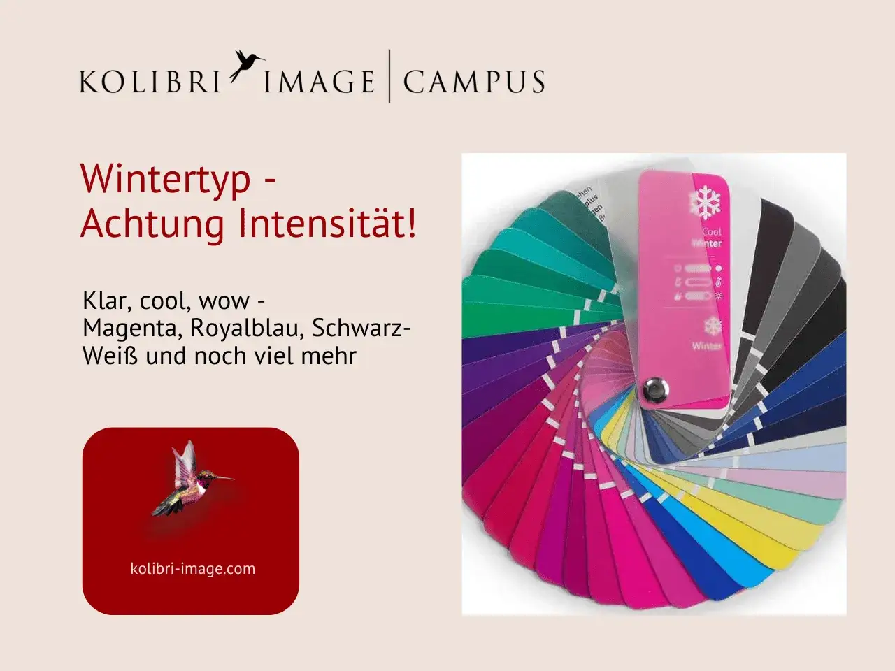 Farbpalette für den Wintertyp mit kräftigen Farben wie Magenta und Royalblau. Hier finden Sie die perfekten Töne, die