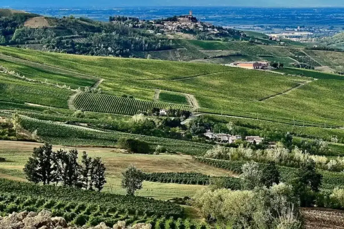 Colline verdi e rigogliose dell'Oltrepò Pavese, con vigneti ordinati che disegnano sentieri. Un borgo arroccato domina il paesaggio, invitando a esplorare i suoi percorsi ad anello.