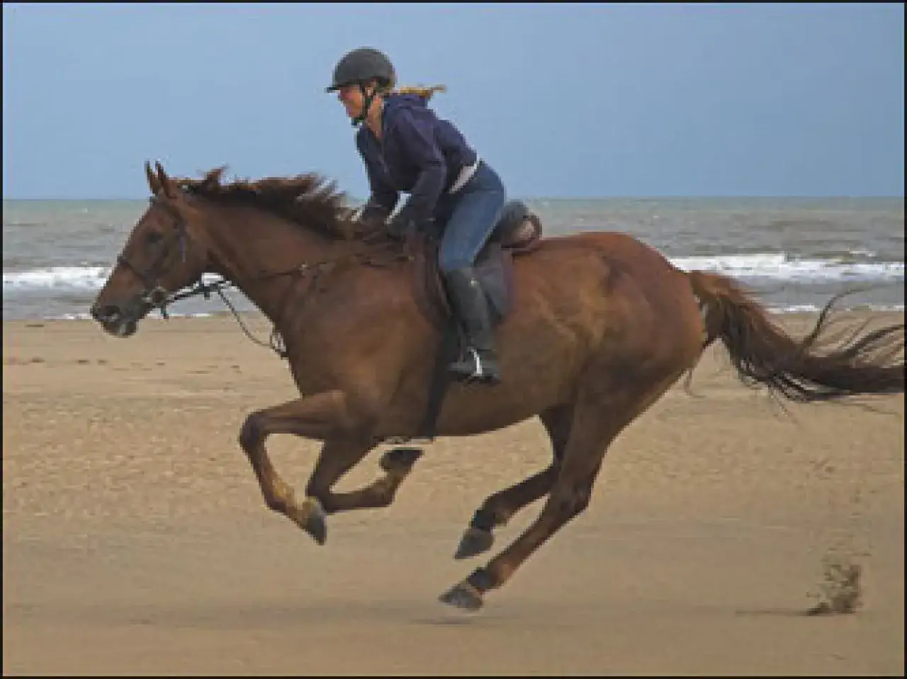 Dziewczyna w stroju do jazdy konnej galopuje na plaży.