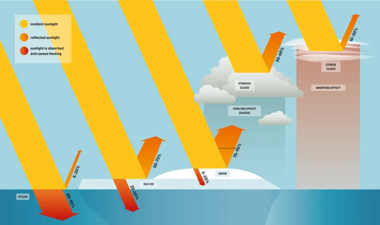 Diagramm zeigt, wie Sonnenlicht reflektiert oder absorbiert wird. Hoher **Albedo**-Wert bei Schnee, geringer bei Ozean.