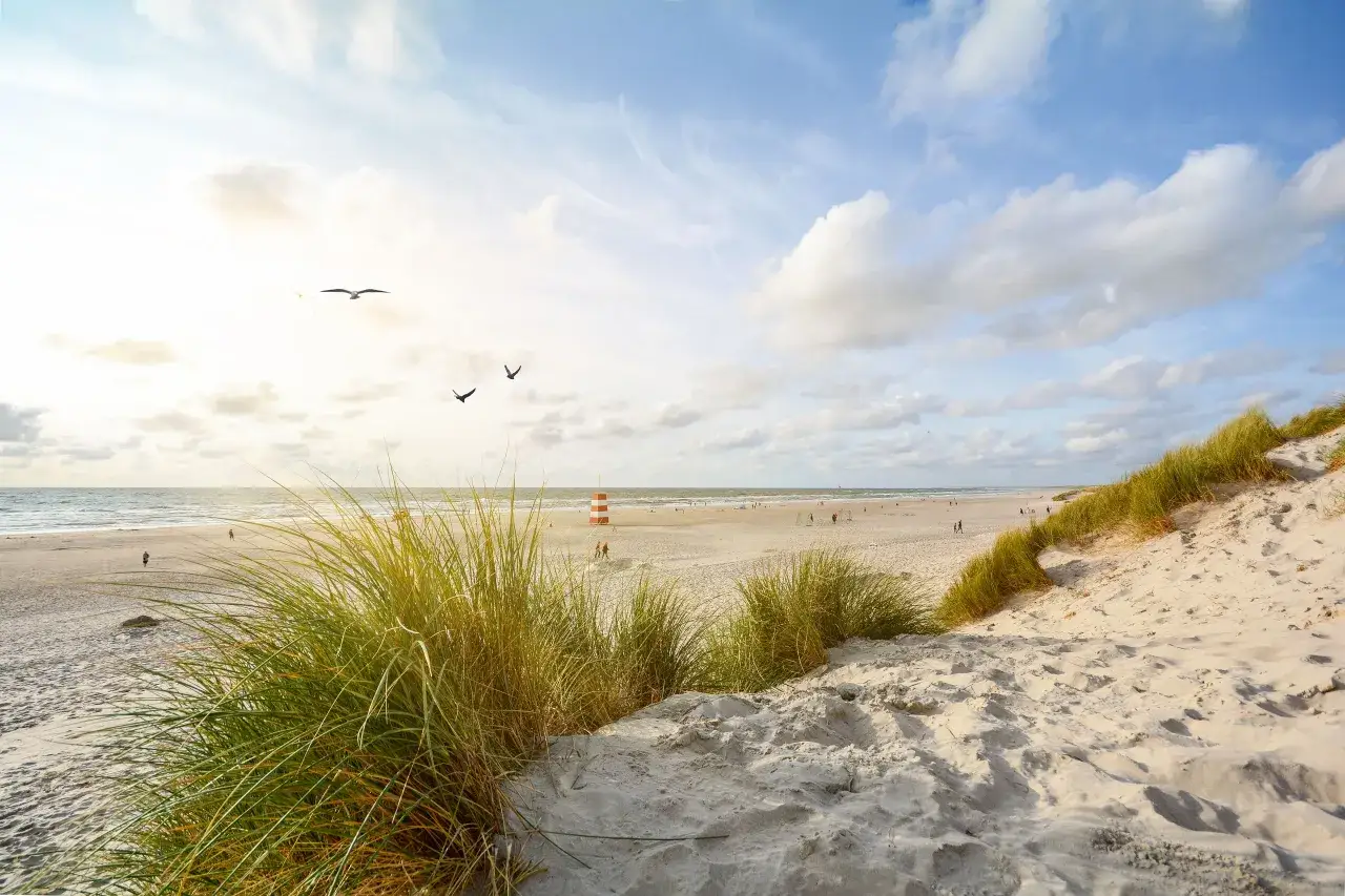 Gr&auml;sbekl&auml;dda sanddyner vid en vidstr&auml;ckt jylland strand. F&aring;glar flyger &ouml;ver havet och en r&ouml;dvit fyr st&aring;r i fj&auml;rran.