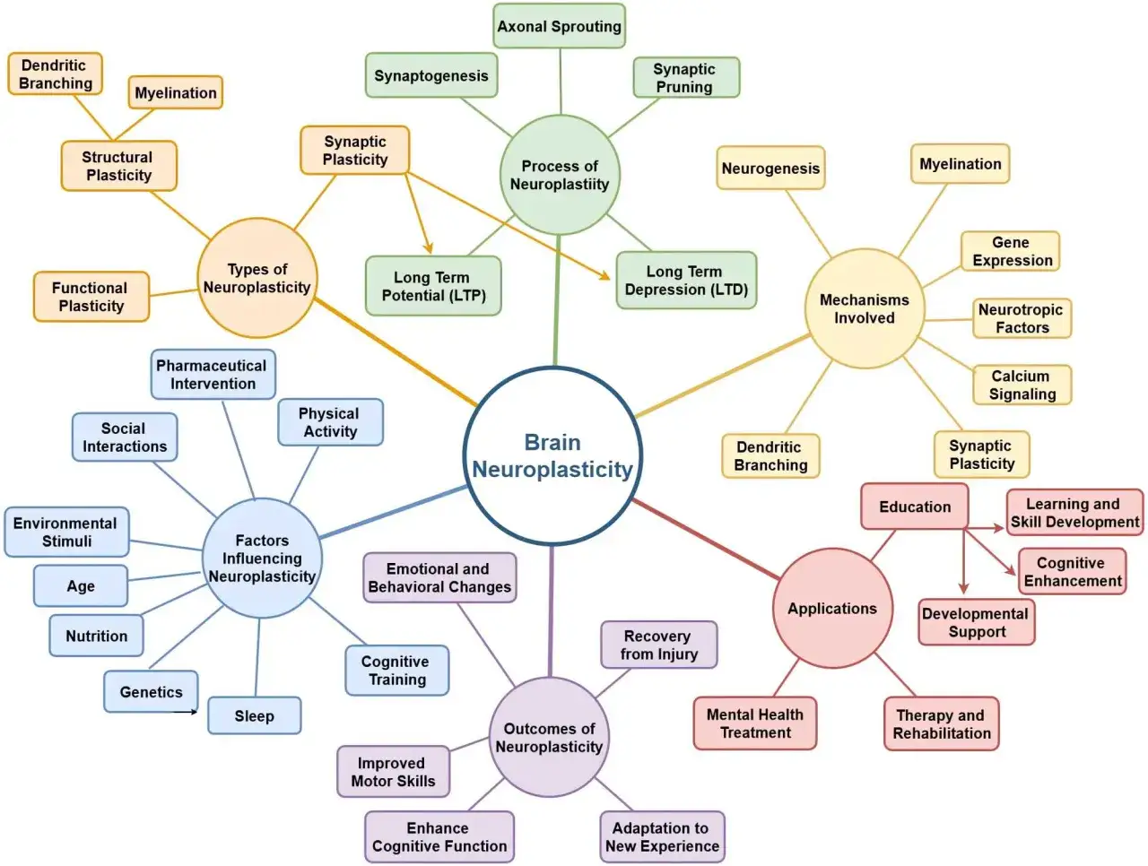 Mapa myśli o neuroplastyczności mózgu, ukazująca jej rodzaje, procesy, mechanizmy, czynniki wpływające i zastosowania. Odkryj ukryte zdolności mózgu!