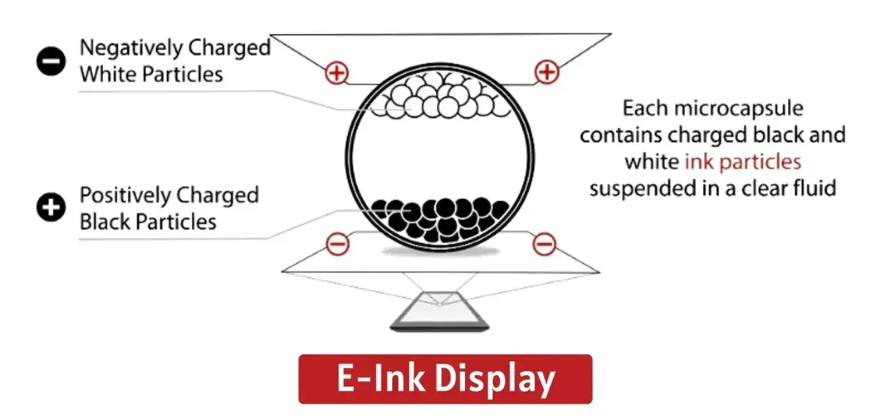 Sch&eacute;ma d'une microcapsule d'encre num&eacute;rique contenant des particules noires et blanches charg&eacute;es, expliquant le fonctionnement d'un &eacute;cran E-Ink.