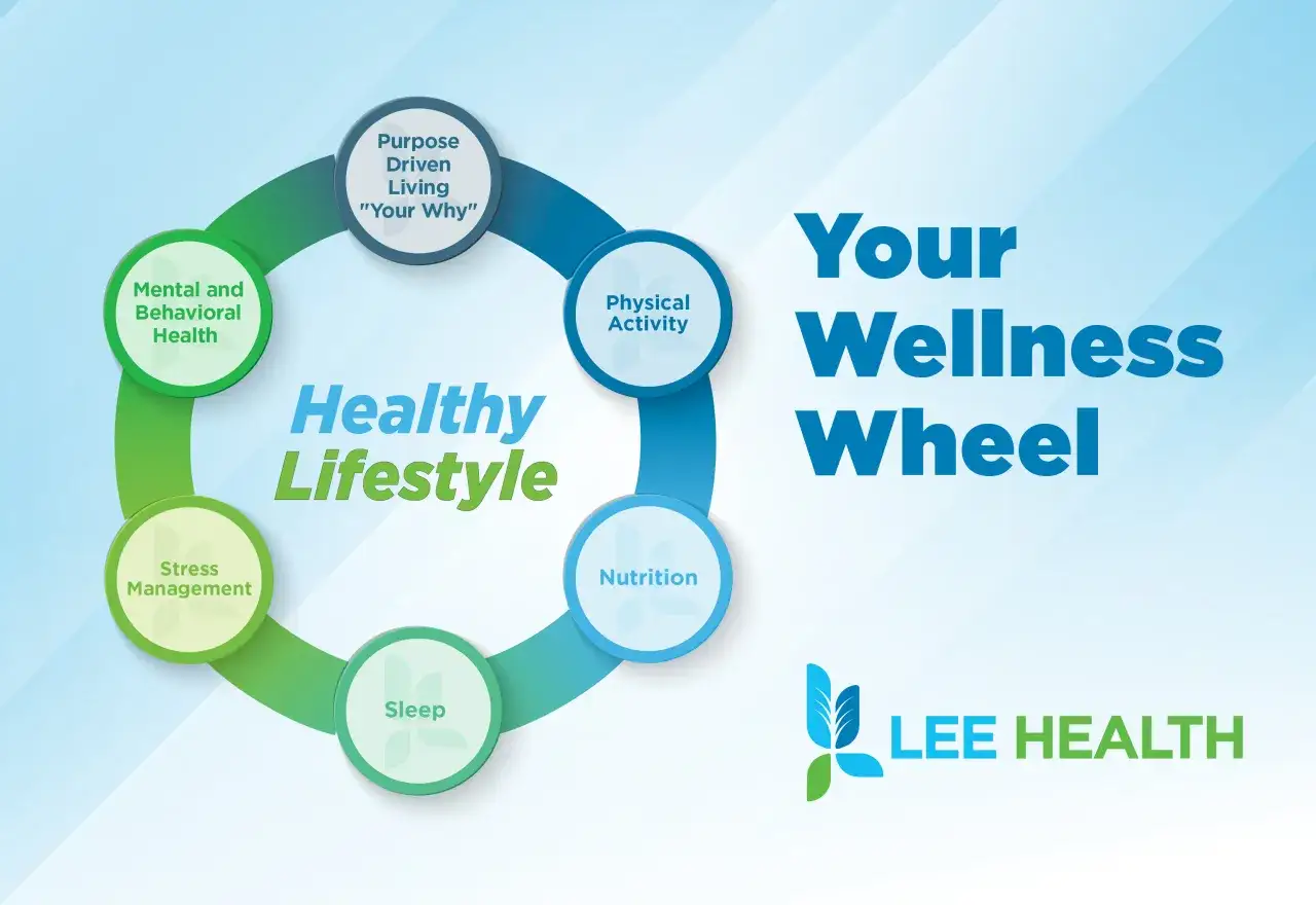 La roue du bien-&ecirc;tre : alimentation, sommeil, activit&eacute; physique, gestion du stress, sant&eacute; mentale et vie de sens pour diminuer le cortisol.