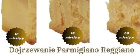 Parmigiano Reggiano r&oacute;żne stopnie dojrzałości