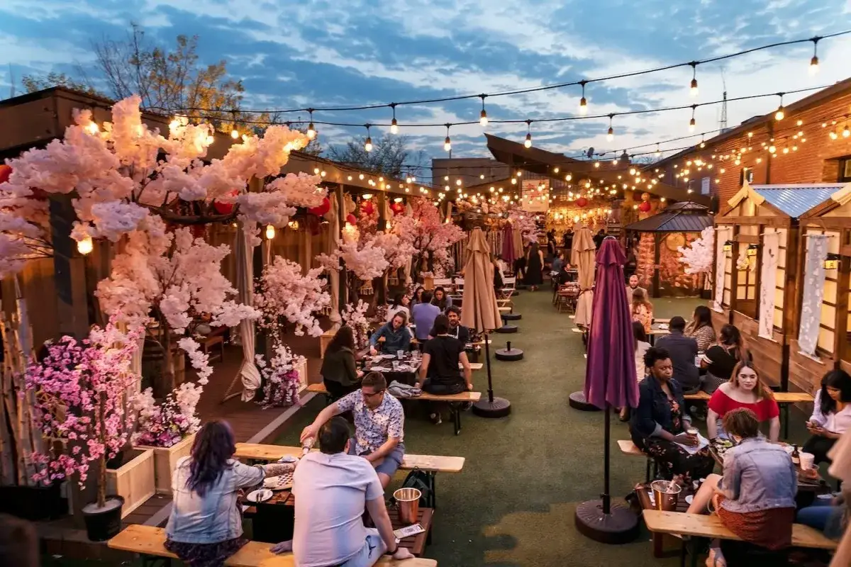 A lively outdoor seating area with cherry blossom trees, string lights, and people enjoying drinks and food. It looks like a perfect spot for festival liquor hours.