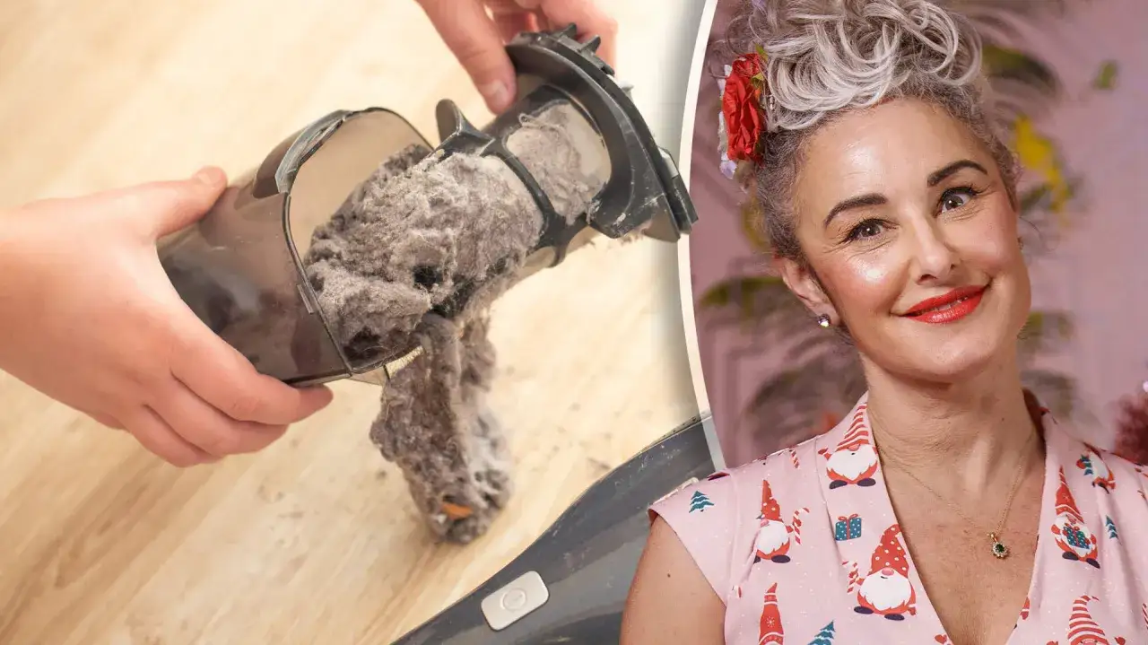 Stofzuigerbak vol stof, klaar om het huis lekker te laten ruiken. Een lachende vrouw met rode lippen en een bloem in haar haar.