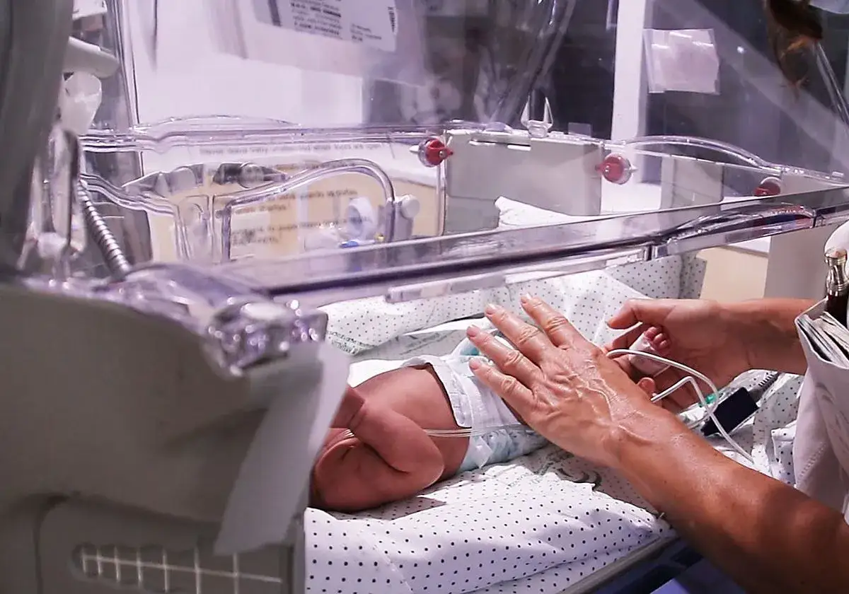 Manos de un profesional de la salud acarician a un beb&eacute; en una incubadora, cuidando a un reci&eacute;n nacido tras un parto prematuro.