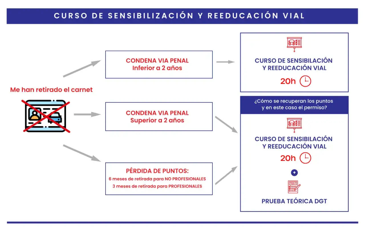 Diagrama explica cómo recuperar puntos carnet online tras retirada del permiso. Cursos de 20h y prueba teórica DGT.