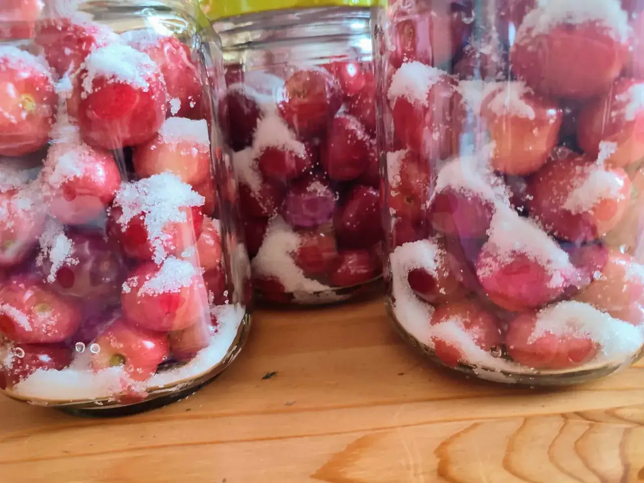 Słoiki z czereśniami i cukrem, przygotowywane do zrobienia domowego kompotu z czereśni.