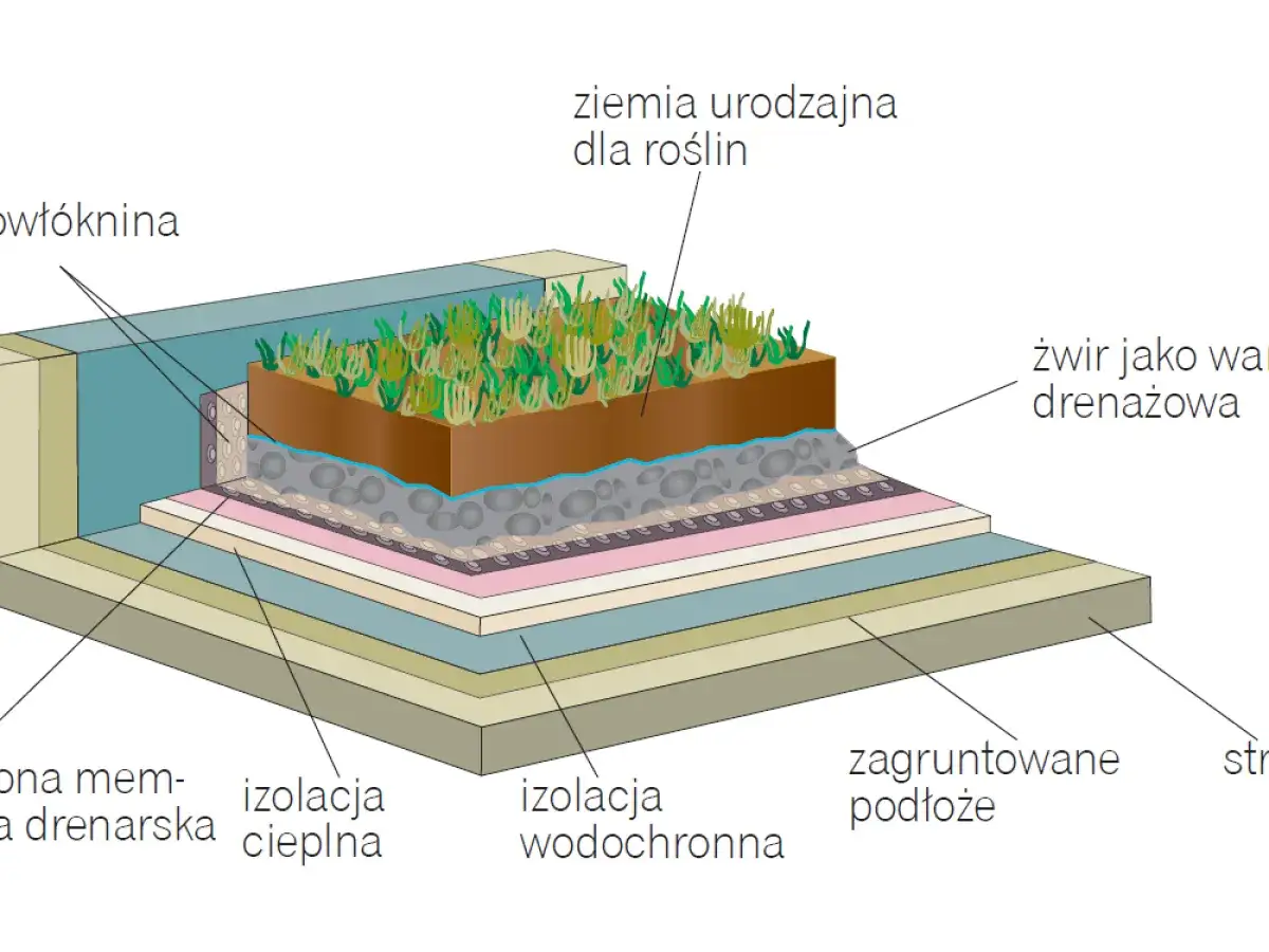 Przekrój dachu odwróconego warstwy: ziemia, żwir drenażowy, izolacje, geowłóknina i zagruntowane podłoże.