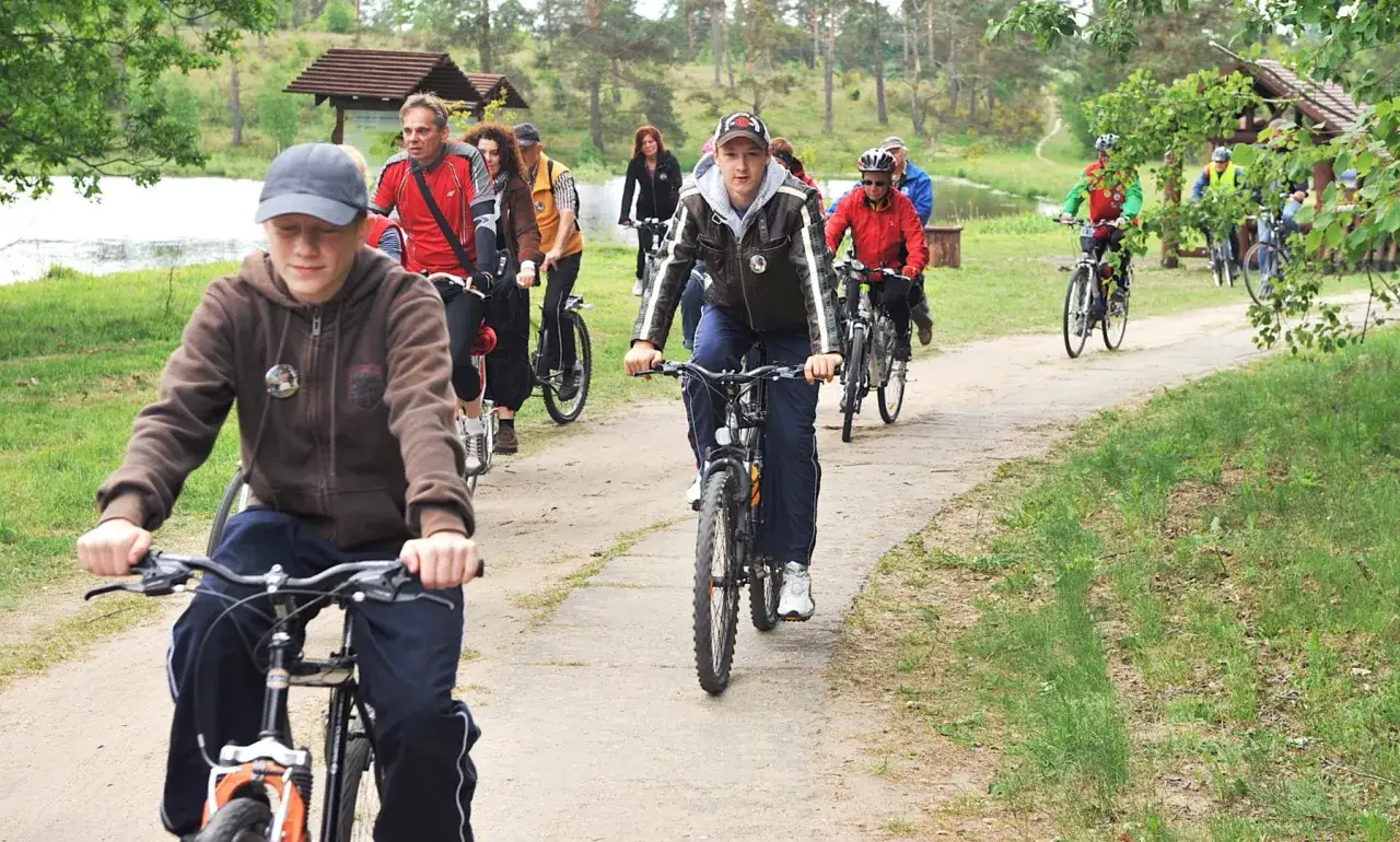 Grupa rowerzystów przemierza malownicze leśne trasy rowerowe.
